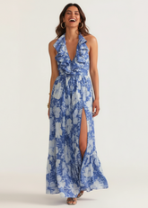 Blue & White Floral Printed Maxi Dress